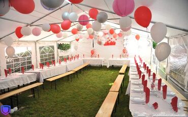 Organizacija događaja: Organizacija događaja | Lopte, Fire show, Foam show — 11