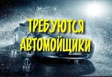 СТО, автобизнес: Требуется Автомойщик, Оплата Ежедневно, Менее года опыта, Форма