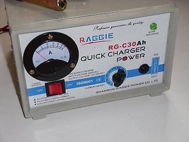 Baterije: Punjač akumulatora Raggie RG-C30Ah – Quick Charger Power - Tip: brzi — 6