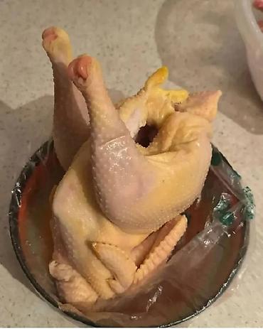 цеплята бройлер: 🐔 ПРОДАЮ ДОМАШНИХ КУР-НЕСУШЕК! 🌿 Домашние, выращенные в хозяйстве 🕌 — 2
