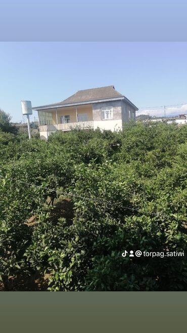 Digər tikinti materialları: Astara rayon Maşxan kəndində 30 sot torpaq 2 mərtəbəli ev satılır 85
