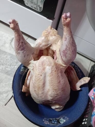 разное для дома: Күрп 