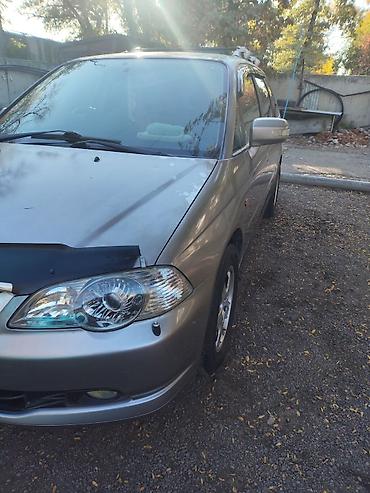 гузку: Honda Odyssey: 2000 г., 2.3 л, Автомат, Бензин, Универсал — 2