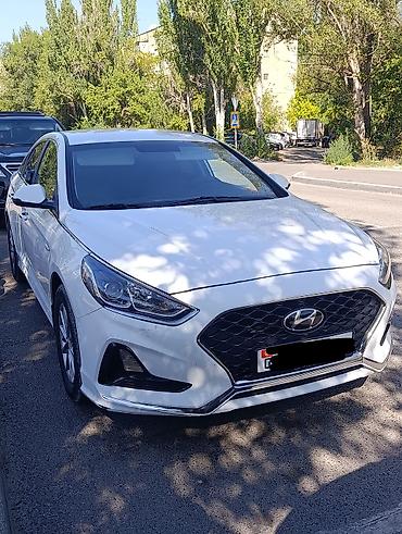 tsunami купить: Hyundai Sonata: 2019 г., 2 л, Автомат, Газ, Седан — 2