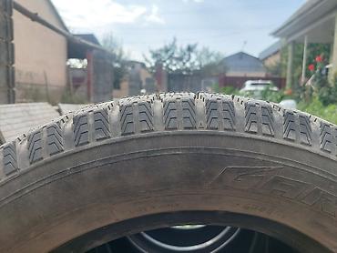 lining pantera: Комплект зимних шин Toyo Observe Garit G5. - Размер: 205/60 R16 92Q — 9