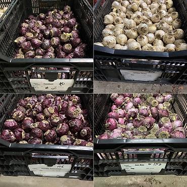 Организация мероприятий: Организация мероприятий | Букеты, флористика — 19