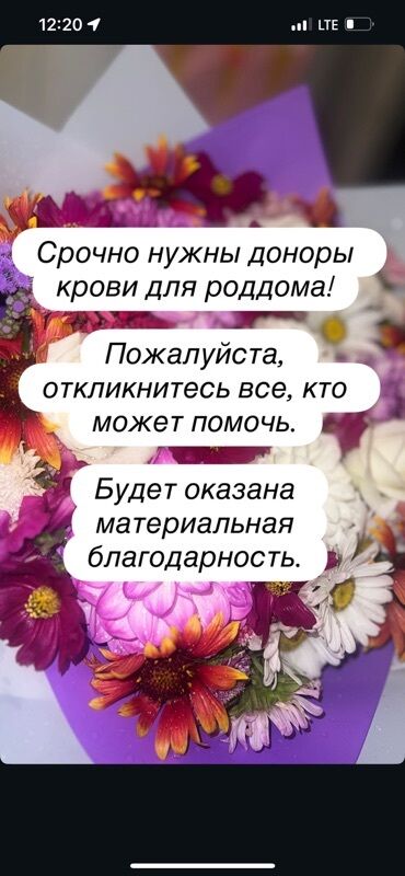 ведение беременности и роды: Клиника | Акушер-гинеколог | Другие медицинские услуги