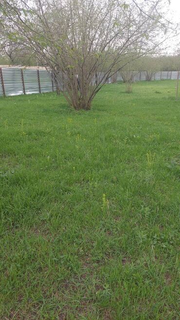 Torpaq sahələrinin satışı: Torpaq satılır Qəbələdə, Daşca kəndində! 🏞️ Təbii gözəlliklərlə -da lalafo.az — 9 Torpaq sahələrinin satışı: Torpaq satılır Qəbələdə, Daşca kəndində! 🏞️ Təbii gözəlliklərlə — 9