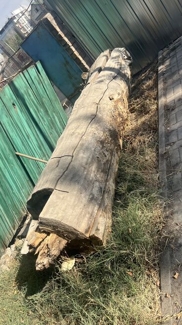 отдам дом в хорошие руки бесплатно: Отдам бесплатно дрова. Отунду бекер берем кимге керек болсо