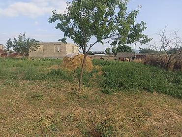 bakıxanov qesebesi: 3 otaqlı, 100 kv. m, Kredit yoxdur, Təmirsiz — 3