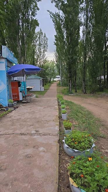 Аренда коттеджей и домов на Иссык-Куле: Коттедж с Долинка 3 спальни 8+ мест at lalafo.kg — 12 Аренда коттеджей и домов на Иссык-Куле: Коттедж с Долинка 3 спальни 8+ мест — 12