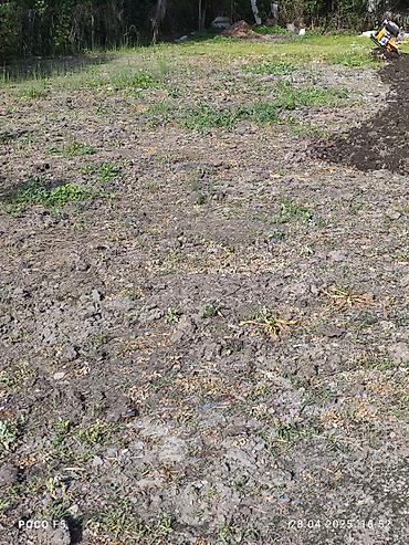 Другие услуги: Спашка огорода С дизельный мотоблок и бензиновый Цена договорная — 16