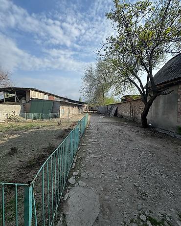 у реки: ✨ Продается дом в с. Гавриловка ✨ 🏡 Характеристики: • — 3
