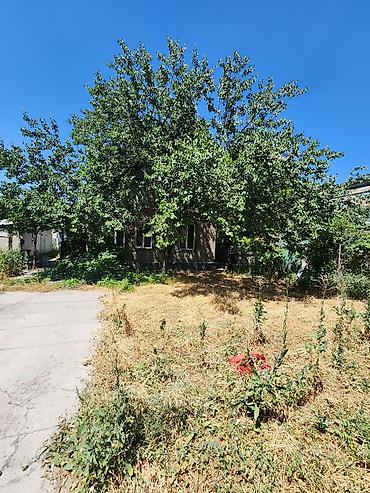 Продажа коттеджей и домов: Дом на продажу, 4 комнаты. Локация: Нижняя Аларча, первая — 8