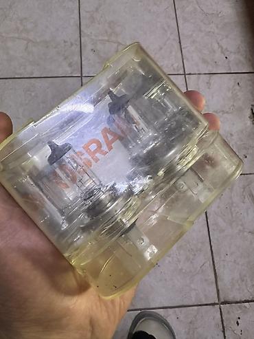 света диоты: Лампы автомобильные OSRAM (комплект из 2 шт.) в фирменном пластиковом — 2