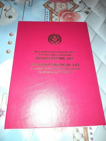 айдоо жер аренда: 5 соток, Бизнес үчүн, Кызыл китеп
