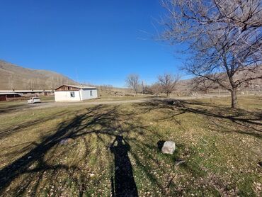 Сельхоз предприятия: Продаю Кошара, 150 соток, Действующий, С оборудованием, Электричество, Холодная вода — 7