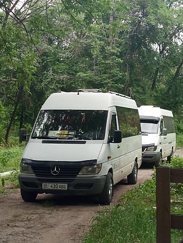 w210 e320: Пункт назначения: Все направления, Количество мест: 18, Лицензия №: 00В005382 — 1