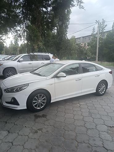 sonata 2012: Hyundai Sonata: 2017 г., 2 л, Автомат, Газ, Седан — 3