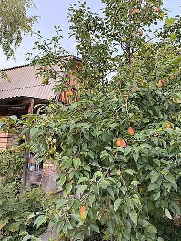 гараж кара балта: Продаётся участок с домом — с. Байгелди, ДС «Ак-Суу» 🌿 Участок — 5.5 — 4