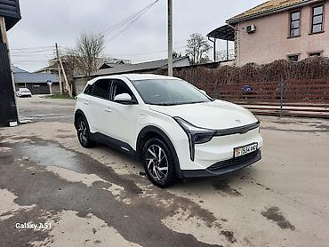 JMEV: JMEV : 2022 г., Электромобиль, Кроссовер — 1