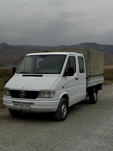 Mercedes-Benz Спринтер: 1999 г., 2.9 л, Механика, Дизель