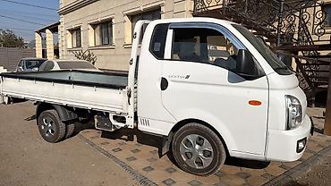 св: Легкий грузовик, Hyundai, Стандарт, 3 т, Новый — 2