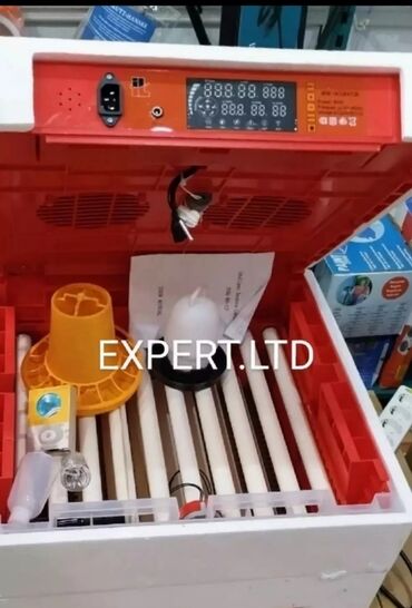 Digər quşlar: Expert şirkətinin rəsmi istehsalı olan, android-rejimli aparatların — 20