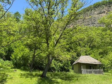 Torpaq sahələrinin satışı: 20 sot, Mülkiyyətçi, Müqavilə — 9