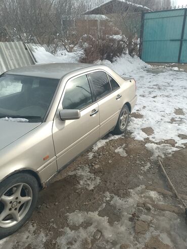 мерсадес зайчик: Mercedes-Benz C-Class: 1995 г., 2 л, Автомат, Бензин, Седан