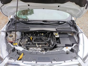 Ford: Ford Escape: 1.5 l | 2019 il 195400 km Ofrouder/SUV — 22