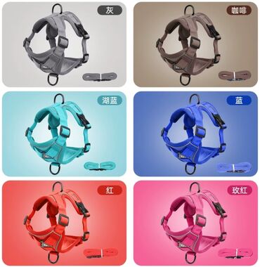 Товары и оборудование для с/х животных: Продаю новые в отличном качестве кошачие лотки крытые и открытые с — 22