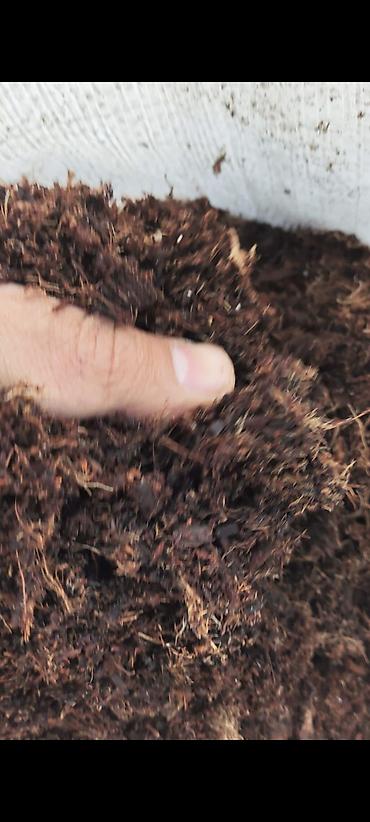 Torf: Məhsul: Münbit torf və gübrə Təsvir: - Bitkilər üçün ideal torpaq — 13