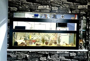 Сковородки: 1.83 sm  Uzunluq 50.5 sm  Hündürlük 23.5 sm   Eni Şüsə qalınğı. 8mm