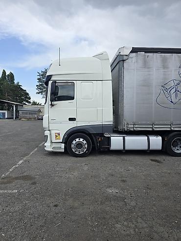 daf xf105: Тягач, DAF, 2019 г., Шторный — 6