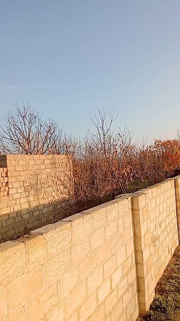 Torpaq sahələrinin satışı: Kənd təsərrüfatı — 10