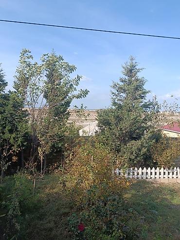 баку пос баладжары квартира: 2 otaqlı həyət evi pirşağı - Plan: geniş zal, ayrıca yataq otağı — 8