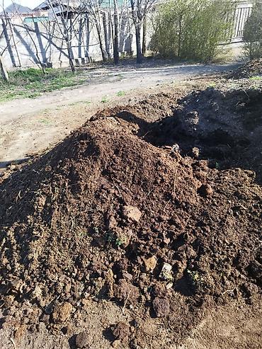 сущь: Плодородная земля/перегной для огорода и сада. Описание: - Темная — 2