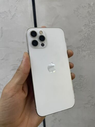 держатели для планшетов apple iphone: IPhone 12 Pro Max, Серебристый