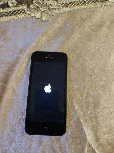 Apple iPhone: IPhone 5s