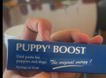 6 месяцев: PUPPY’ BOOST — это оральная паста для щенков и собак, объём 15 мл, с