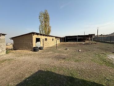 Продажа сельхоз предприятий: Сдается действующая фермерская база с помещениями для содержания — 8