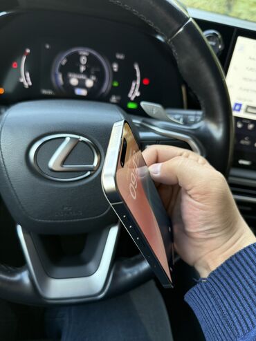 Apple iPhone: IPhone 15 Pro, Gümüşü, Face ID — 8