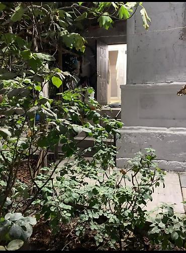 Günlük kirayə evlər: Həyətyanı sahəsi olan kiçik ev - Həyətdə şaquli dayaqlı — 3