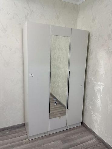 standing mirror: Трёхдверный шкаф-купе/распашной светло-серого цвета с центральным — 1