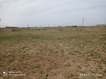 torpag satilir: 12 sot, Tikinti, Mülkiyyətçi, Kupça (Çıxarış) — 8