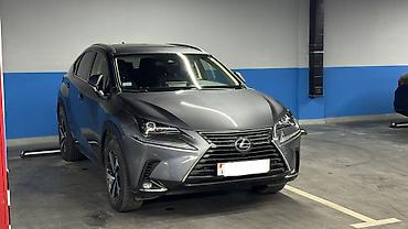 byd e3: Lexus NX: 2020 г., Гибрид, Кроссовер — 2