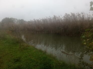 Torpaq sahələrinin satışı: 400 sot, Kənd təsərrüfatı, Maklerlər narahat etməsin — 5