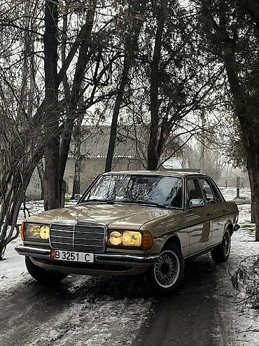 Mercedes-Benz: Mercedes-Benz W123: 1981 г., 2.8 л, Механика, Седан — 1