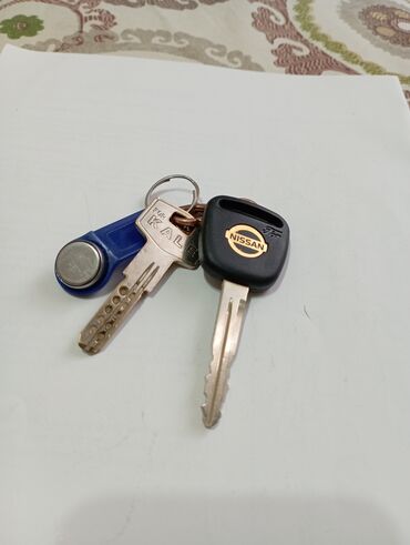 утерен: Утеряны связка ключей от машины Nissan и от дома с чипом в